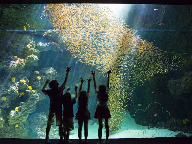 環境水族館アクアマリンふくしま